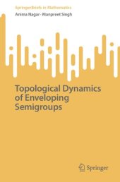 book Topological Dynamics of Enveloping Semigroups