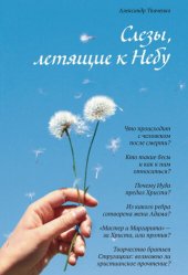 book Слёзы, летящие к Небу: Во что и как верят христиане?