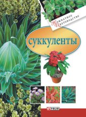 book Суккуленты