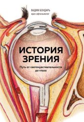 book История зрения: путь от светочувствительности до глаза