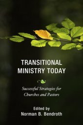 book Transitional Ministry Today: Successful Strategies for Churches and Pastors