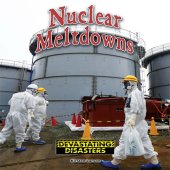 book Nuclear Meltdowns