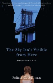 book The Sky Isn't Visible from Here: Scenes from a Life