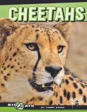 book Cheetahs