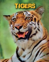 book Tigers