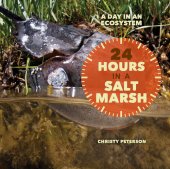 book 24 Hours in a Salt Marsh