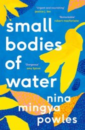 book Small Bodies of Water