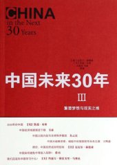 book 中国未来30年3 (China in the Next 30 Years)