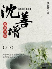 book 沈善增经典文集（上下）