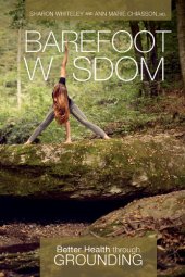 book Barefoot Wisdom: Better Health Through Grounding