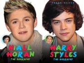 book Harry Styles & Niall Horan: The Biography--Choose Your Favourite Member of One Direction