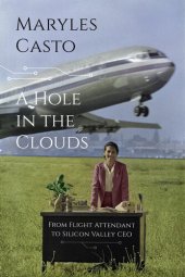 book A Hole in the Clouds: From Flight Attendant to Silicon Valley CEO