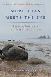 book More Than Meets the Eye: Exploring Nature and Loss on the Coast of Maine