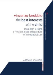 book The Best Interests of the Child. More than a Right, a Principle, a Rule of Procedure of International Law