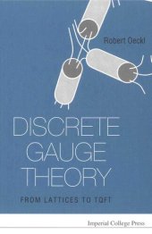 book Discrete Gauge Theory: From Lattices to TQFT