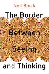 book The Border Between Seeing and Thinking