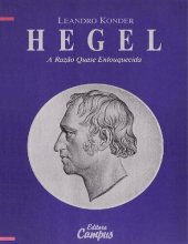 book Hegel: a Razão Quase Enlouquecida