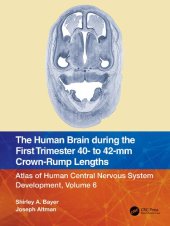 book The Human Brain during the First Trimester 40- to 42-mm Crown-Rump Lengths: Atlas of Human Central Nervous System Development