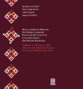 book Reduciendo la brecha de oportunidades para los estudiantes universitarios de origen indígena: evaluación de Pathways to Higher Education en la Universidad Nacional San Antonio Abad del Cuzco (Perú)