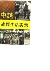 book 中越战俘生活实录