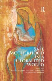 book Safe Motherhood in a Globalized World