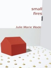 book Small Fires: Essays