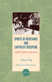 book Spirits of Resistance and Capitalist Discipline, Second Edition