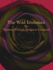 book The Wild Irishman