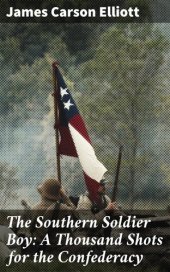 book The Southern Soldier Boy: A Thousand Shots for the Confederacy