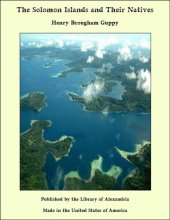 book The Solomon Islands and Their Natives