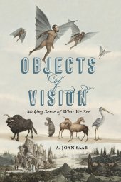 book Objects of Vision: Making Sense of What We See