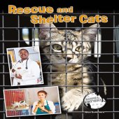 book Rescue and Shelter Cats