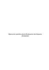 book Ejecución práctica de EIA