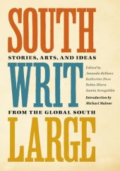 book South Writ Large: Stories from the Global South