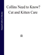 book Cat and Kitten Care