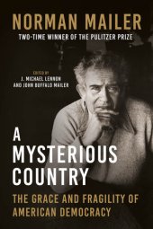 book A Mysterious Country: The Grace and Fragility of American Democracy