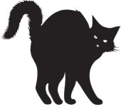 book Ghost Cats 2: More Afterlife Encounters with Feline Spirits