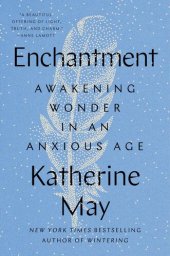 book Enchantment: Awakening Wonder in an Anxious Age