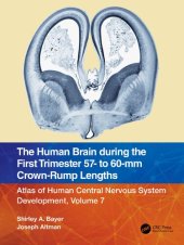 book The Human Brain during the First Trimester 57- to 60-mm Crown-Rump Lengths