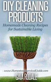 book DIY Cleaning Products: Homemade Cleaning Recipes for Sustainable Living