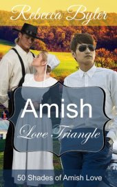 book Amish Love Triangle