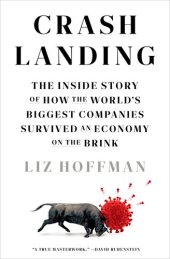 book Crash Landing: The Inside Story of How the World's Biggest Companies Survived an Economy on the Brink