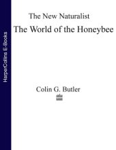 book The World Of The Honeybee