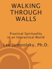 book Walking Through Walls: Practical Spirituality for an Impractical World