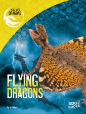 book Flying Dragons