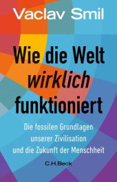 book Wie die Welt wirklich funktioniert: Die fossilen Grundlagen unserer Zivilisation und die Zukunft der Menschheit