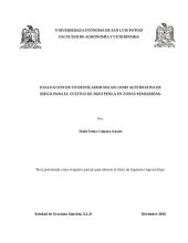 book [Dissertation] Evaluación de un destilador solar como alternativa de riego para el cultivo de mijo perla en zonas semiaridas