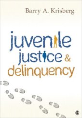 book Juvenile Justice and Delinquency