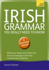 book Irish Grammar You Really Need to Know: Teach Yourself