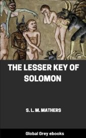 book The Lesser Key of Solomon